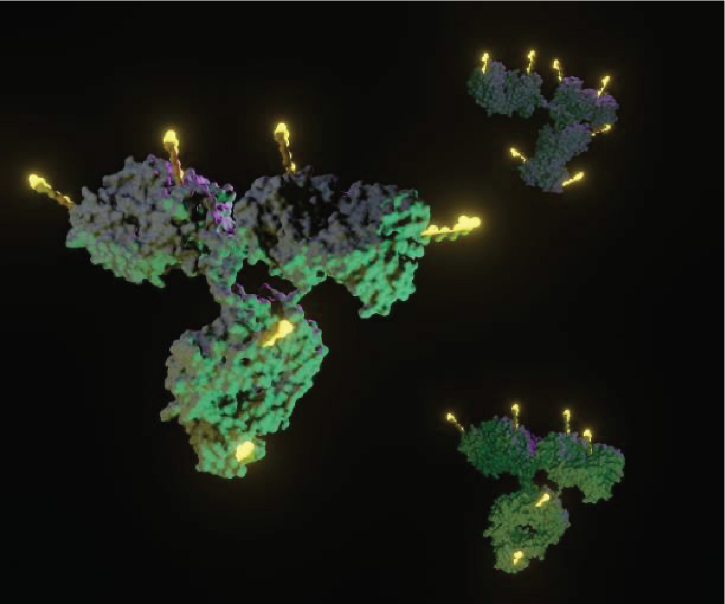 A pivotal Phase 3 study of ATG-022 began in CLDN18.2-positive gastric cancer